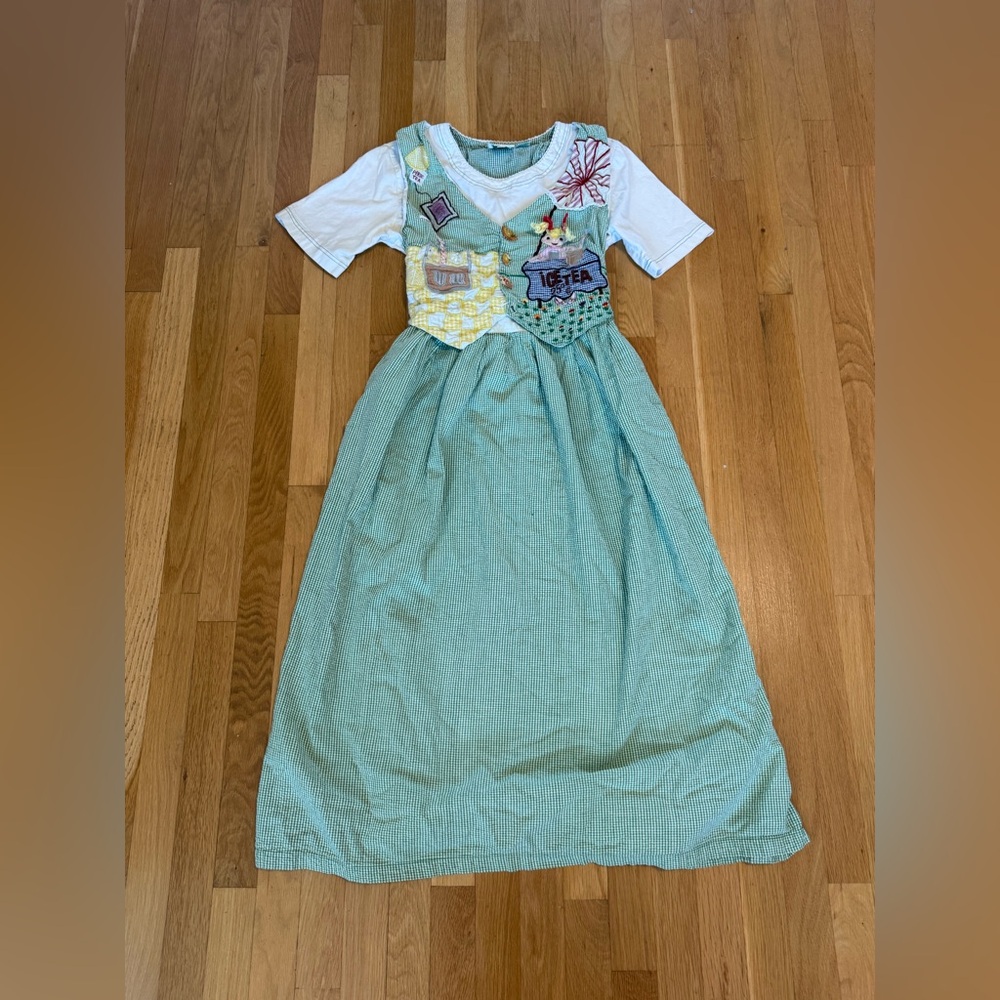 VTG 90s Country Wear Iced Tea Novelty Appliqué Dress Gingham 3D Buttons Size 10